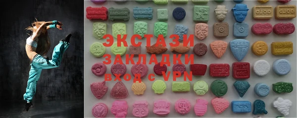 твердый Дмитровск