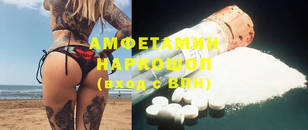 твердый Дмитровск