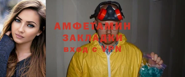 твердый Дмитровск