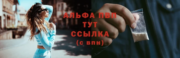 твердый Дмитровск