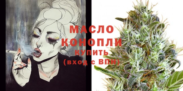 твердый Дмитровск