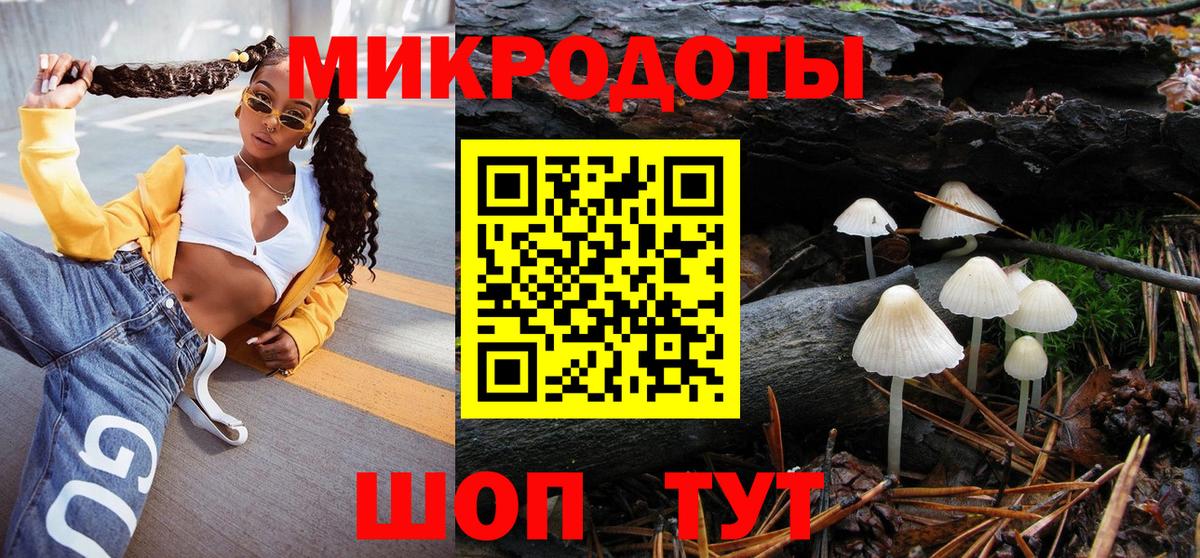 Псилоцибиновые грибы Psilocybine cubensis Качканар