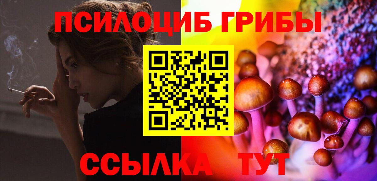 где купить   Вход с VPN  Качканар  Галлюциногенные грибы ЛСД 